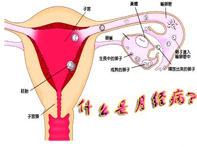 月经不调如何治疗